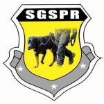 SGSPR CI